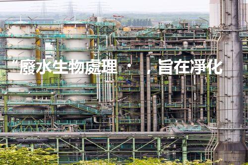 “廢水生物處理，旨在凈化水源，守護碧水藍天”